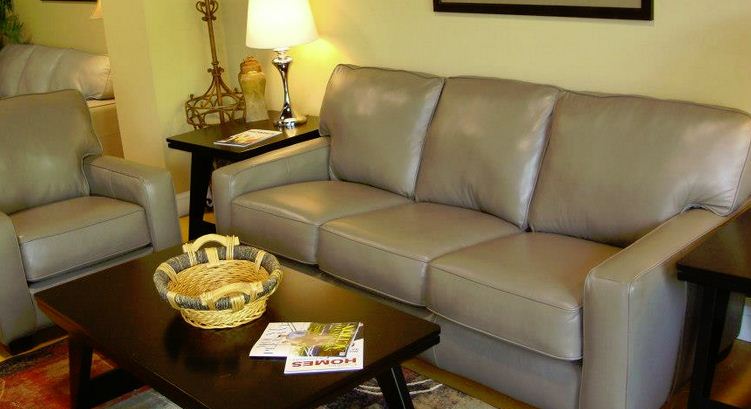 Leather Sofa & Chair Fort Mill SC